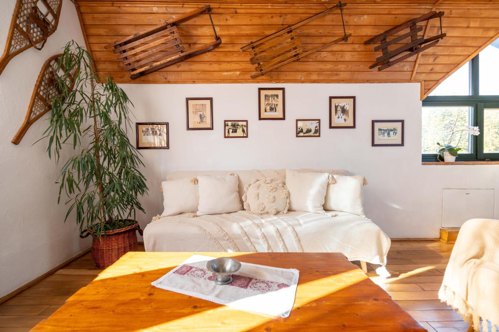 ביילה טושנד Fortuna Eco - Boutique Hotel מראה חיצוני תמונה